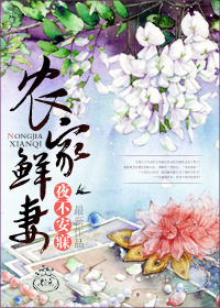 五等分的花嫁漫画免费版