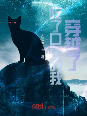 爱玛夫人 8