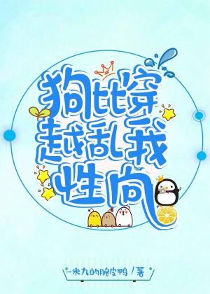 都市少帅txt全集下载