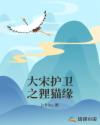 a5v6试看
