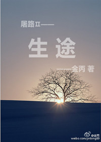 爱情电影网aqdy鲁丝片二区1