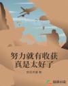 上海旅游攻略