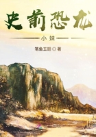 波波导航