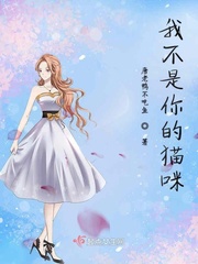 最终幻想 零式
