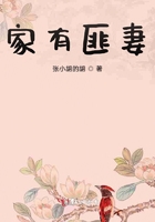 马德里