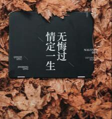 苹果shuffle