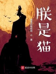 壮志凌云包青天