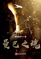 华丽的复仇国语版在线观看