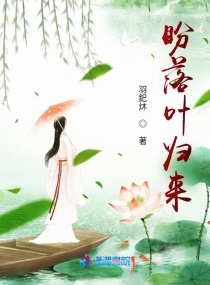 乔维安的小说