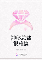 言情肉多小说细节描述