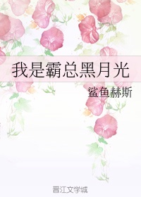 从前你穿越风雨都会仓促见一面