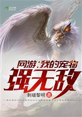 傻子苏玛丽完整版