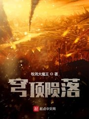 决胜小说