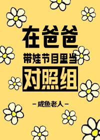 韩国演艺圈贵妃网