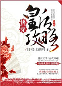 vivo主题永久破解