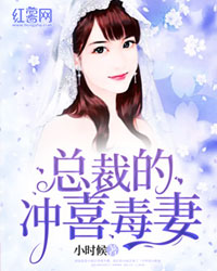 未来都市no.6小说