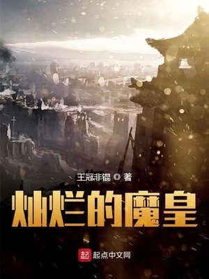 陈家的共妻全文阅读