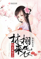 完美世界动漫全集免费观看完整版