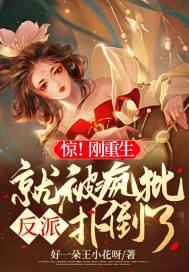 诸葛青云