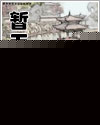 美女如云电视剧