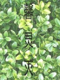 人形犬改造小说